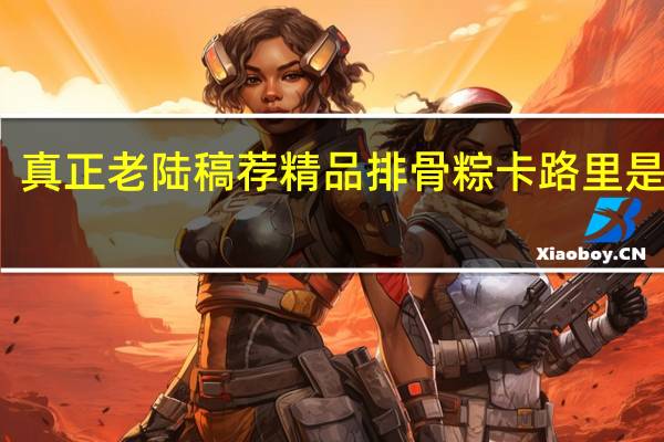真正老陆稿荐 精品排骨粽卡路里是多少