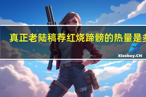 真正老陆稿荐 红烧蹄髈的热量是多少