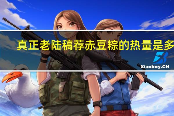 真正老陆稿荐 赤豆粽的热量是多少