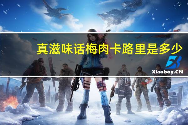 真滋味 话梅肉卡路里是多少