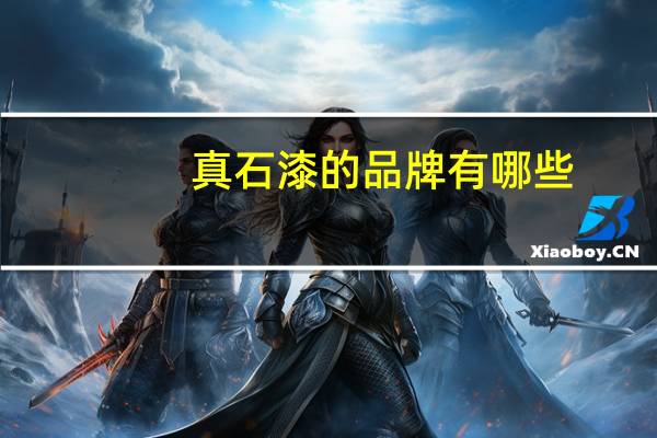 真石漆的品牌有哪些，真石漆价格一般是多少