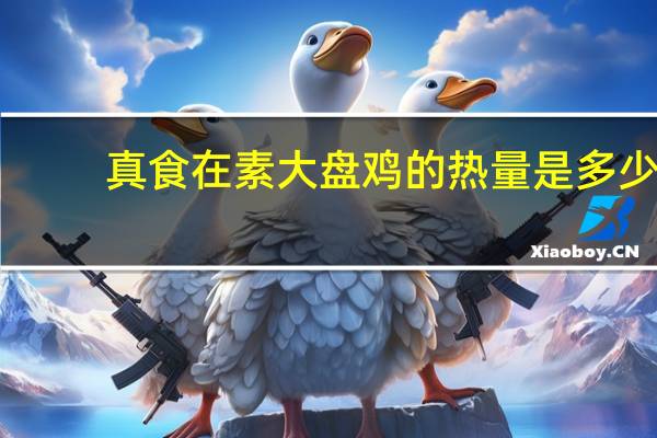 真食在 素大盘鸡的热量是多少