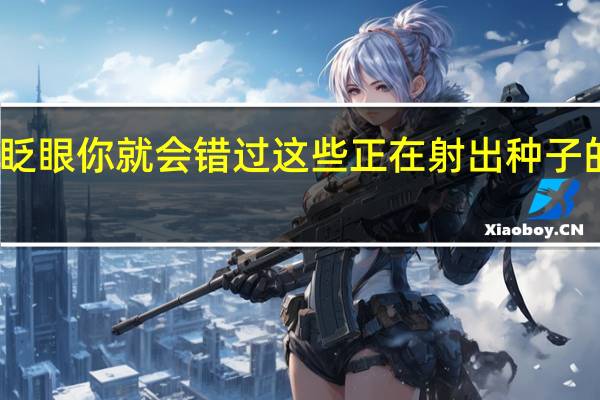 眨眼你就会错过这些正在射出种子的植物