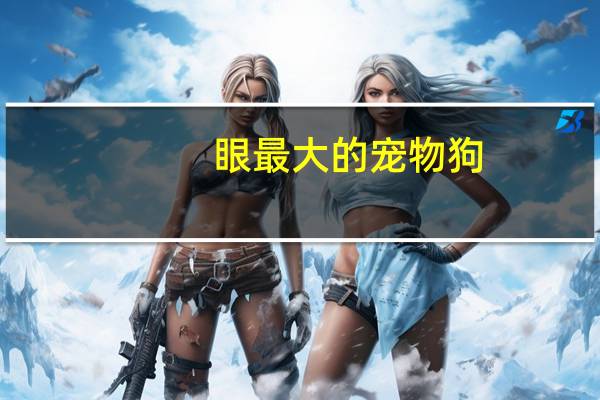 眼最大的宠物狗