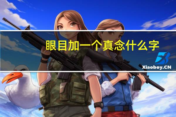 眼目加一个真念什么字