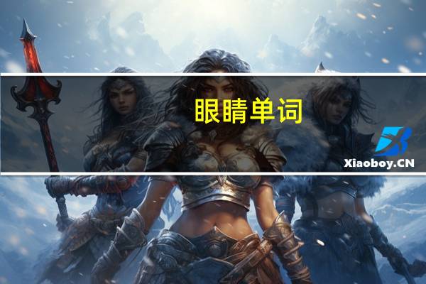 眼睛单词