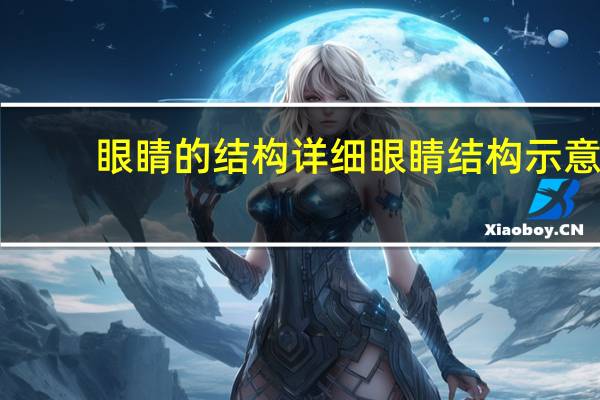 眼睛的结构详细 眼睛结构示意图及功能