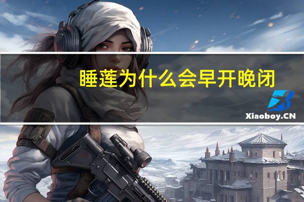 睡莲为什么会早开晚闭