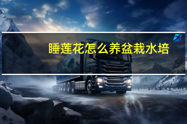 睡莲花怎么养盆栽水培