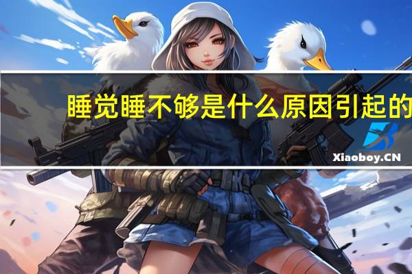 睡觉睡不够是什么原因引起的(睡觉睡不够是什么原因)