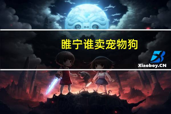 睢宁谁卖宠物狗