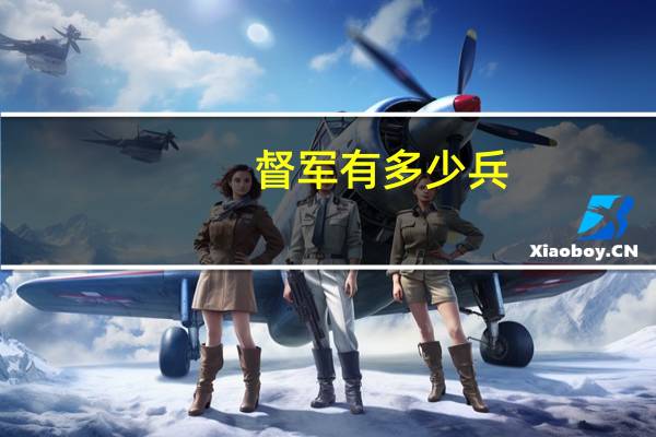 督军有多少兵（督军枪卫）