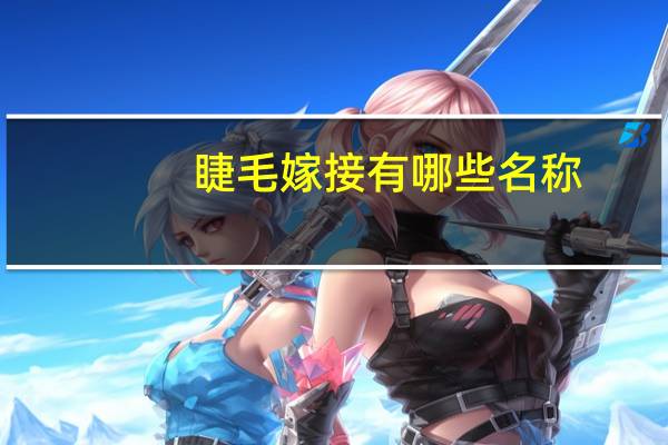 睫毛嫁接有哪些名称(嫁接睫毛种类)