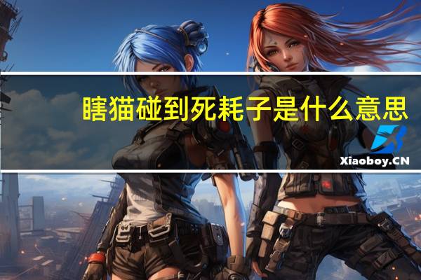 瞎猫碰到死耗子是什么意思