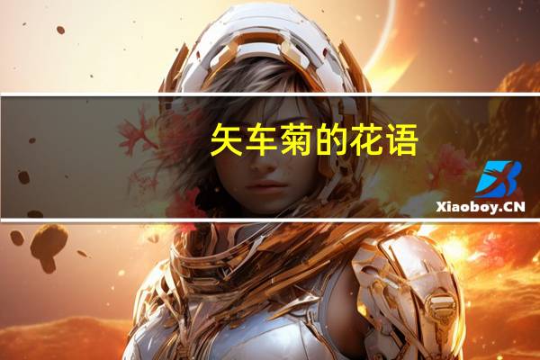 矢车菊的花语：细致,优雅,遇见和幸福