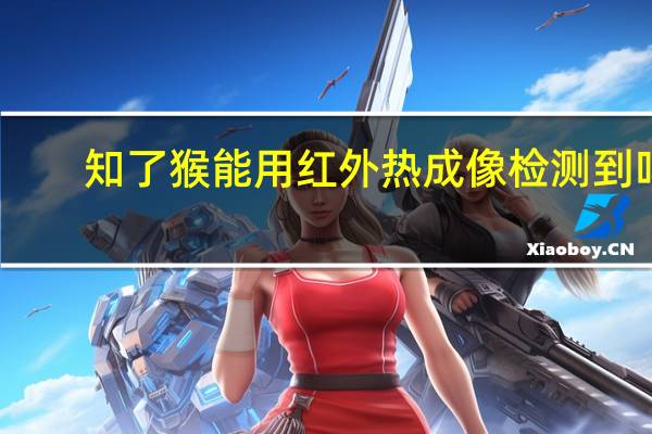 知了猴能用红外热成像检测到吗