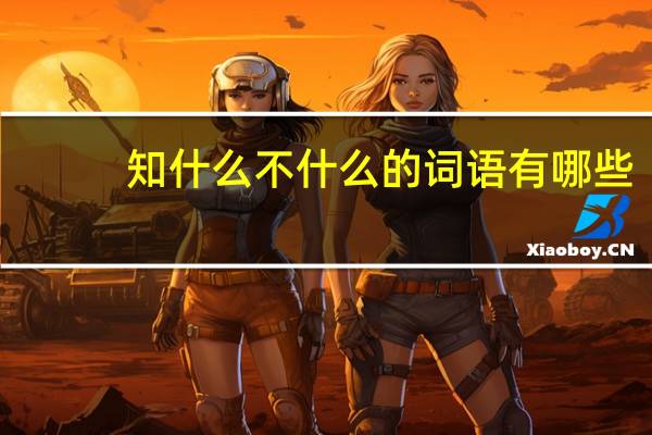 知什么不什么的词语有哪些?