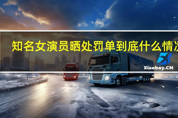 知名女演员晒处罚单 到底什么情况嘞