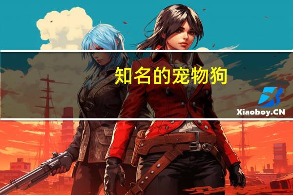 知名的宠物狗