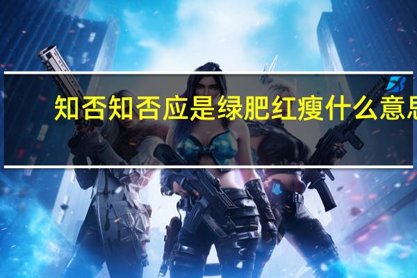 知否知否应是绿肥红瘦什么意思