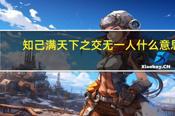 知己满天下之交无一人什么意思