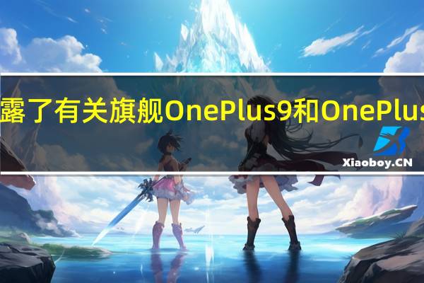 知情人士透露了有关旗舰OnePlus 9和OnePlus 9 Pro的详细信息