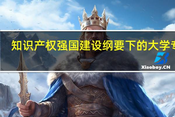 知识产权强国建设纲要下的大学专业