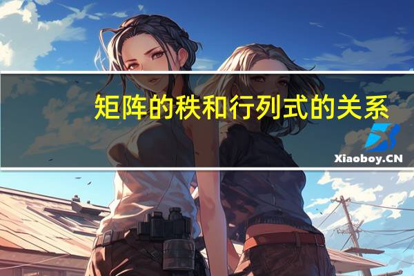 矩阵的秩和行列式的关系
