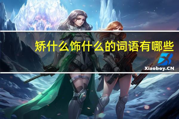 矫什么饰什么的词语有哪些?