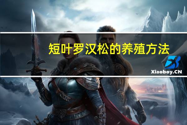 短叶罗汉松的养殖方法