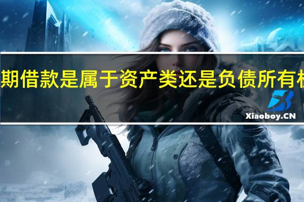 短期借款是属于资产类还是负债所有权益类的