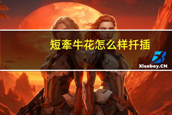 短牽牛花怎么样扦插