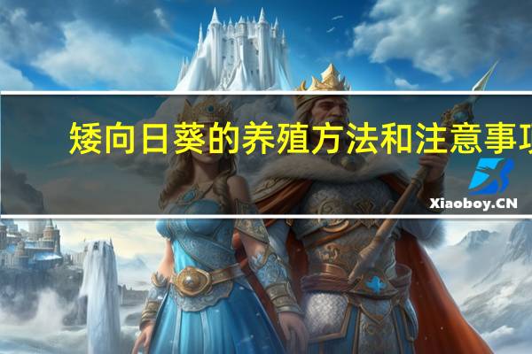 矮向日葵的养殖方法和注意事项