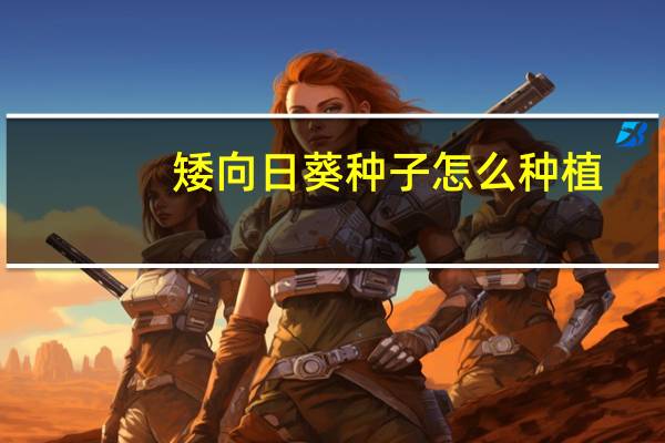 矮向日葵种子怎么种植