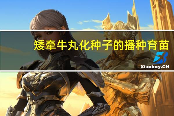 矮牵牛丸化种子的播种育苗