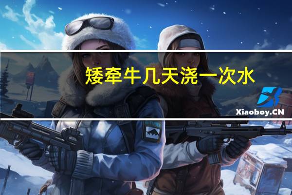 矮牵牛几天浇一次水
