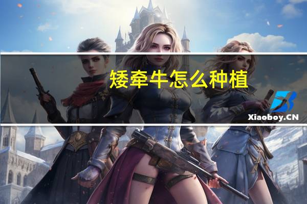 矮牵牛怎么种植