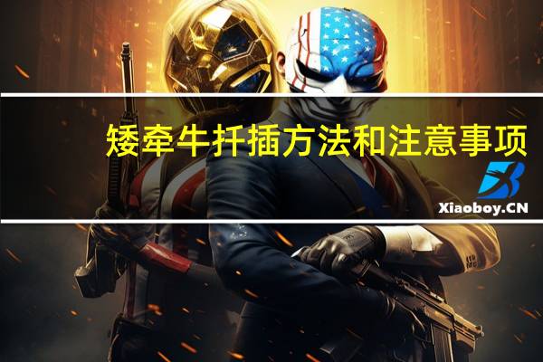 矮牵牛扦插方法和注意事项