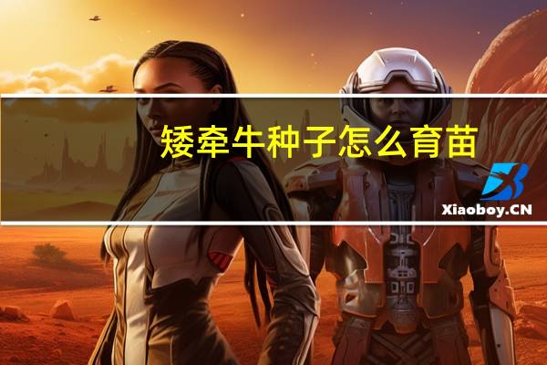 矮牵牛种子怎么育苗