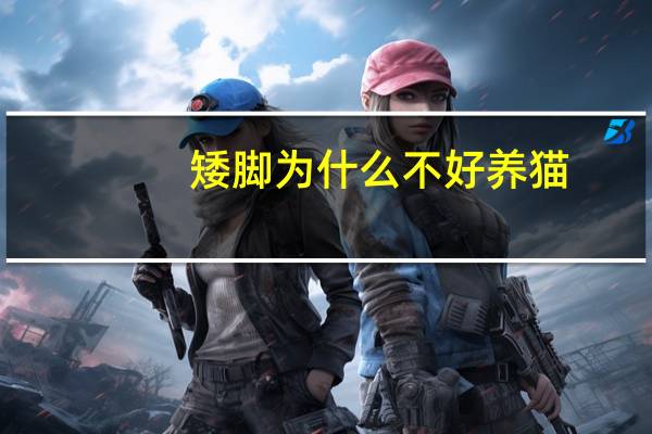 矮脚为什么不好养猫