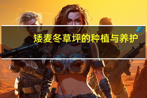 矮麦冬草坪的种植与养护（矮麦冬）