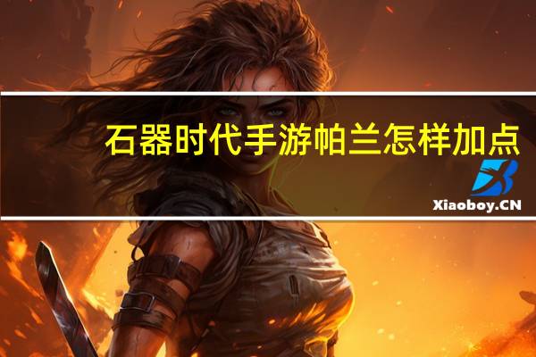 石器时代手游帕兰怎样加点