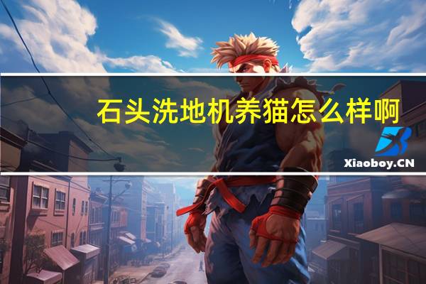 石头洗地机养猫怎么样啊
