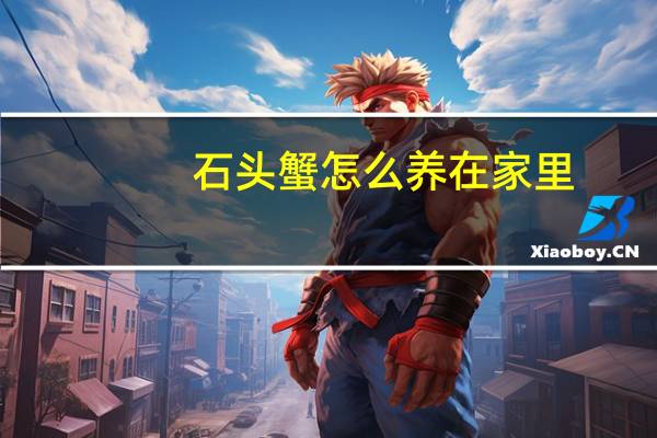 石头蟹怎么养在家里