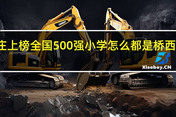 石家庄 上榜全国500强小学 怎么都是桥西区新华区的