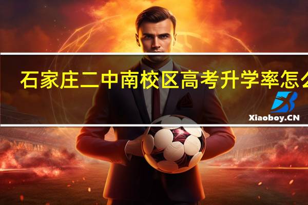 石家庄二中南校区高考升学率怎么样