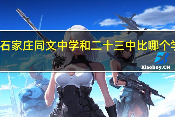 石家庄同文中学和二十三中比哪个学校好,急 石家庄第二十三中学