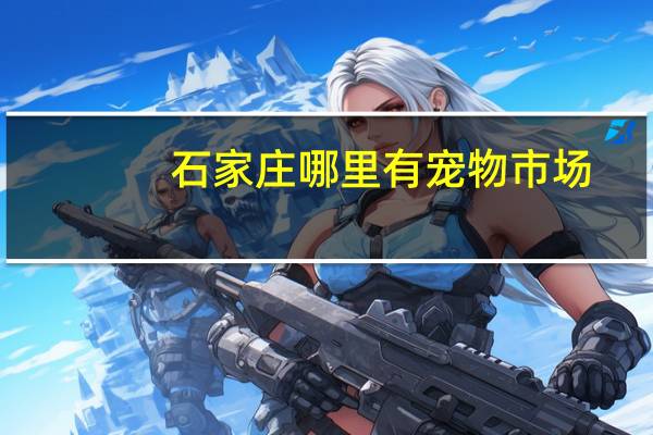 石家庄哪里有宠物市场