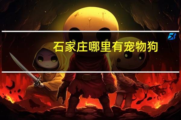 石家庄哪里有宠物狗