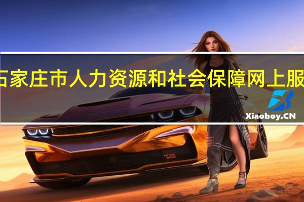 石家庄市人力资源和社会保障网上服务中心（石家庄市人力资源和社会保障网上服务大厅）